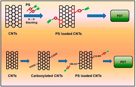 Phototherapy Combined with Carbon Nanomaterials (1D and 2D) and Their ...