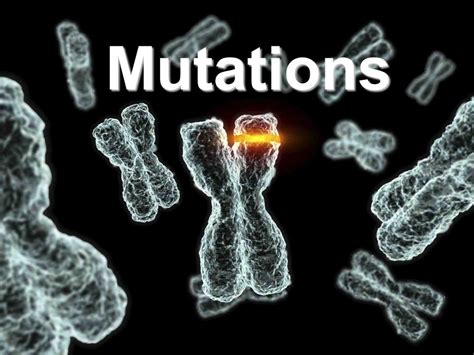 Image result for Mutation Science