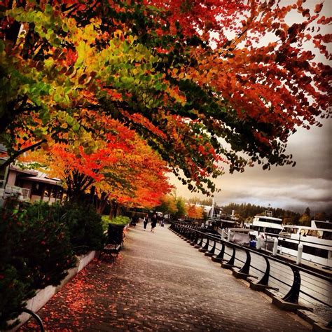 fall pictures vancouver bc
