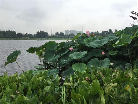 组图丨荷塘仙庾岭山间 藏着这些如画风景_部门·株洲_株洲站_红网