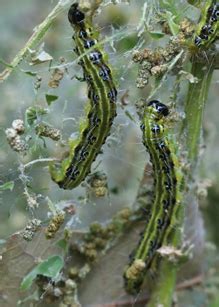 Landscape Message: September 8, 2023 : Center for Agriculture, Food ...