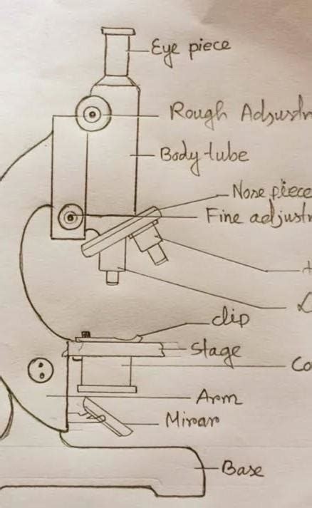 make schematic diagram of composed microscope and lable it properly ...