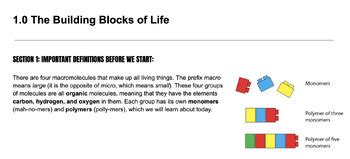 Image result for Macromolecules Building Blocks