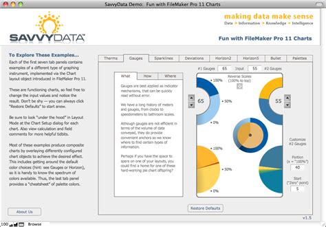 FileMaker Pro Charts 的图像结果