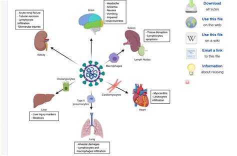 Image result for Delta Plus Variant