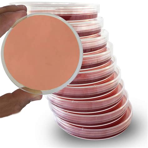 MacConkey Agar Plates - Evviva Sciences - Selective for Gram Negative ...