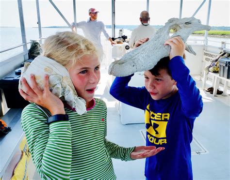 Bulls Island & Cape Romain NWR Archives | Coastal Expeditions