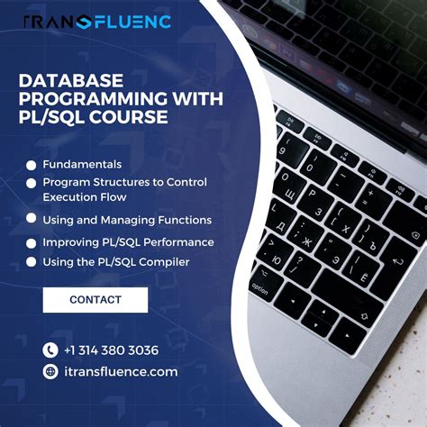 Learn Database Programming 的图像结果