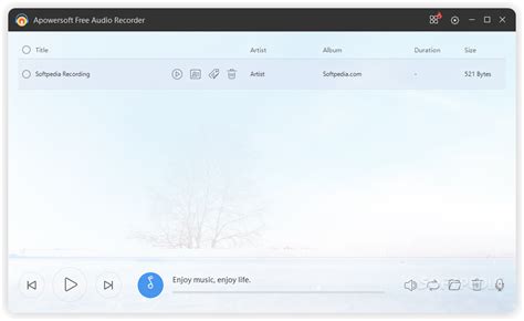 Image result for Apowersoft Audio Recorder