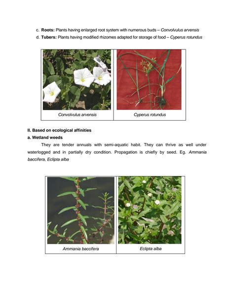 SOLUTION: 2 classification of weeds with figures - Studypool