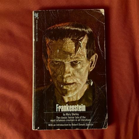 𝙁𝙧𝙖𝙣𝙠𝙚𝙣𝙨𝙩𝙚𝙞𝙣 𝙗𝙮 𝙈𝙖𝙧𝙮 𝙎𝙝𝙚𝙡𝙡𝙚𝙮 | Frankenstein book, Unread books ...