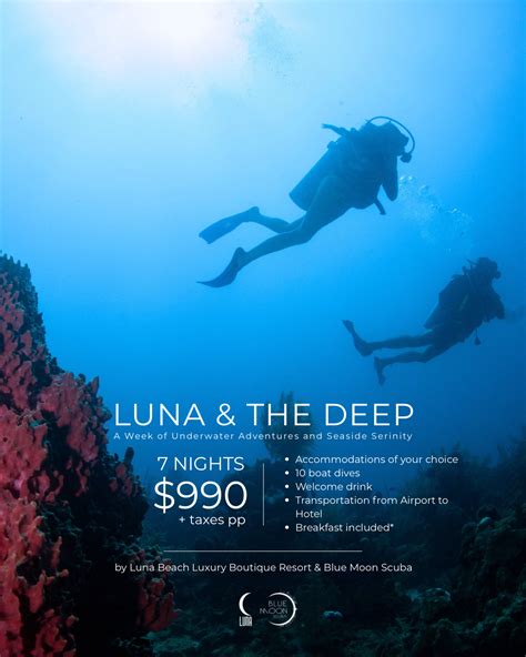 Luna Program Break Promo 的图像结果