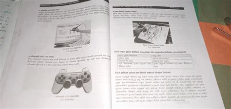 Network Lesson Sinhala PDF 的图像结果