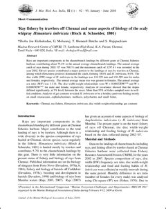 Ray fishery by trawlers off Chennai and some aspects of biology of the ...