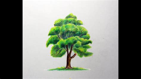 Tree Drawing with Color 的图像结果