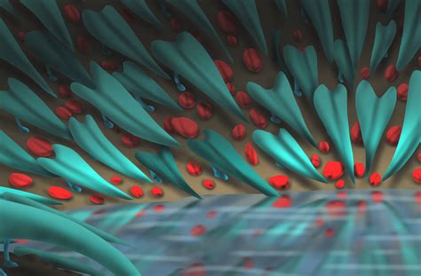 Image result for Alien Lake Movie