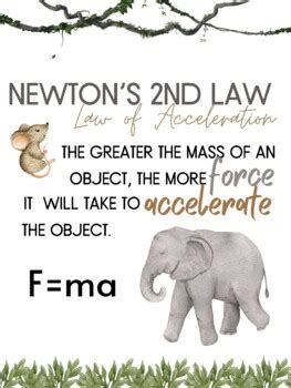 Newton's Laws Posters by That Crazy Science Teacher | TPT