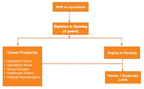 Nursing Diploma Program 的图像结果