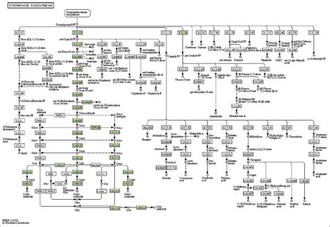 The de novo genome assembly of lemon grass to identify the genes in ...