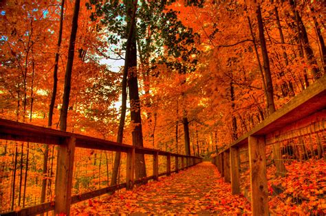 Autumn Halloween Wallpapers - Wallpaper Cave