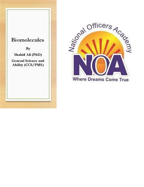 Noa CSS 的图像结果