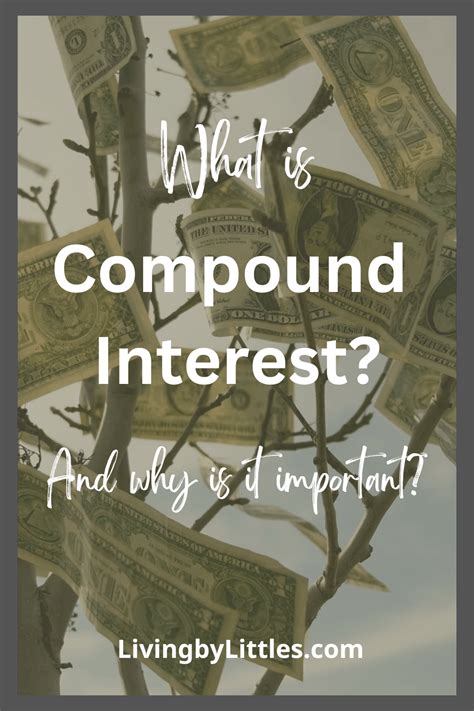 Image result for What Is Compound Interest