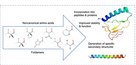 Protein Complex Structure 的图像结果