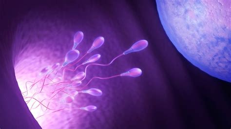 Ovulation Disorders that cause Infertility