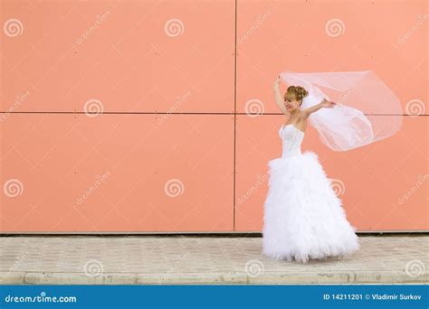 Image result for Dancing Bride