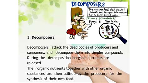 Conservation 的图像结果