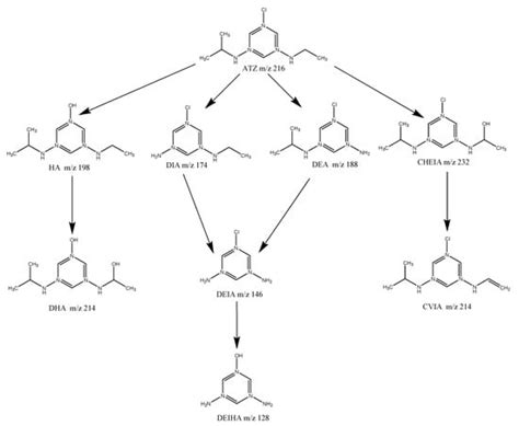 Heat/PMS Degradation of Atrazine: Theory and Kinetic Studies