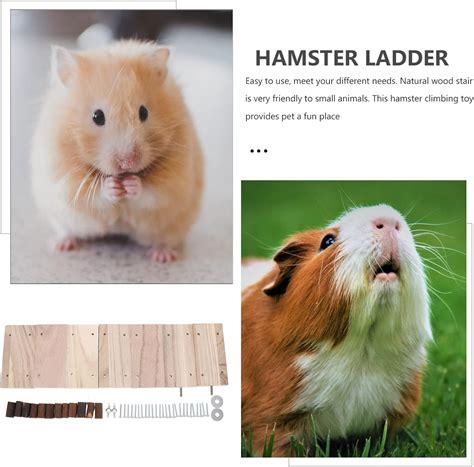 Buy NUOBESTY Small Animal Wooden Ladder Platform Cage Bridge Guinea Pig ...