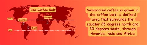 Toffee Coffee Roasters | Ethiopia Speciality Instant Coffee With Free ...