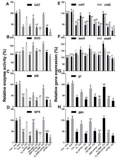 The Importance of Nitric Oxide as the Molecular Basis of the Hydrogen ...