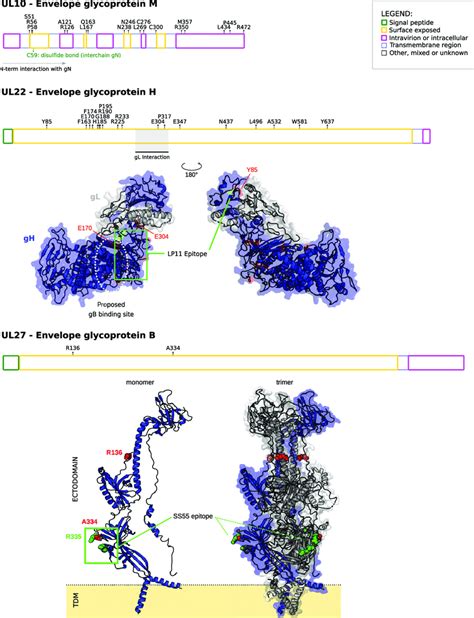 Image result for Simplex Positive