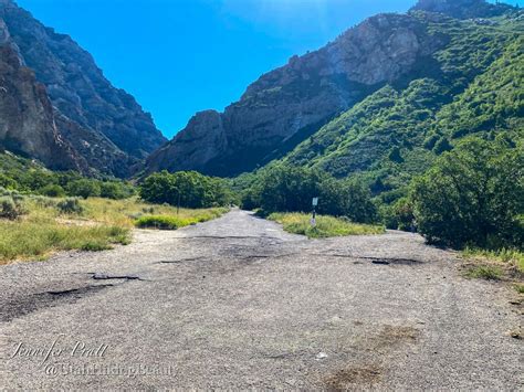 Rock Canyon Trail – Utah Hiking Beauty