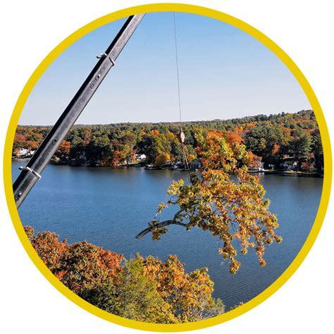 Northeastern Tree Service 的图像结果