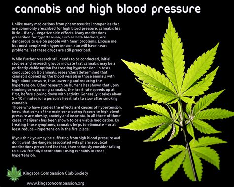 Effects of Marijuana on Blood Pressure. Does weed lower or increase Hypertension?