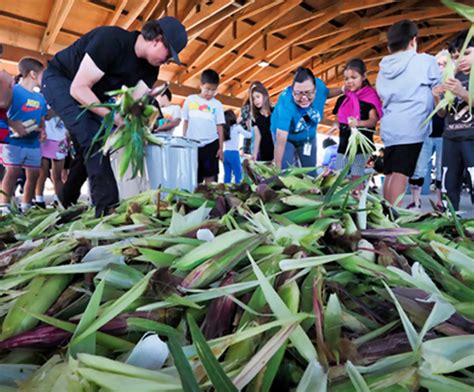 ARTICLE: Ho-Chunk Farms Revitalize, Preserve Tribal Culture With Indian ...