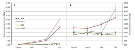 Genotypic Variability of Photosynthetic Parameters in Maize Ear-Leaves ...