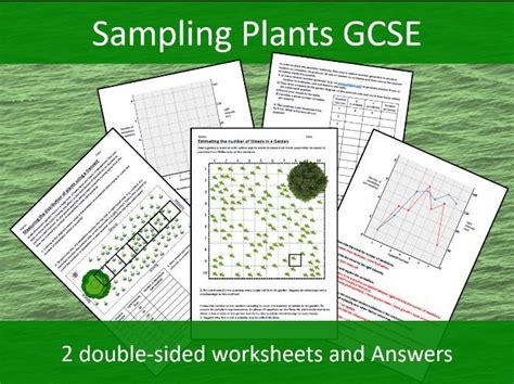 Freesciencelessons Sampling 的图像结果