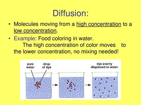 Diffusion Using Food Coloring 的图像结果