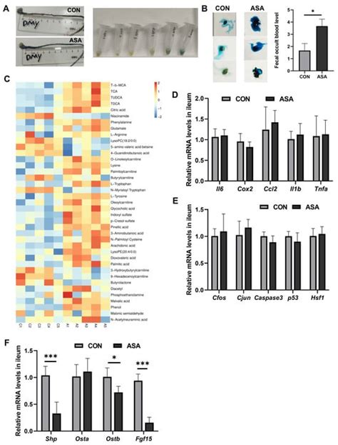 Aspirin Caused Intestinal Damage through FXR and ET-1 Signaling Pathways