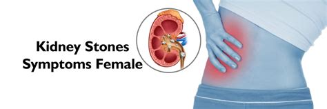 Stage 1 Cervical Cancer Symptoms: Signs, Treatment, Prevention