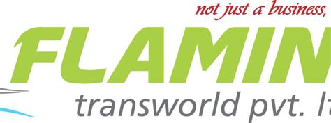 Flamingo Transworld Pvt Ltd | Travel agent in Gujarat, India