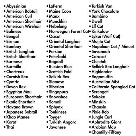 Random Name Generator Python 的图像结果