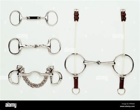 Types Of Horse Bits