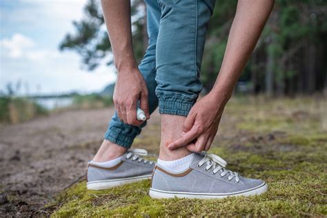 How to Keep Mosquito Bites from Itching | IPM Pest & Termite