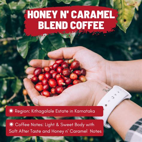 Speciality Blend Coffee - Toffee Coffee Roasters