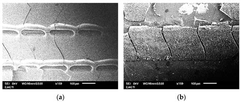 Surface Modification of Bioactive Glasses by Femtosecond and CO2 Lasers